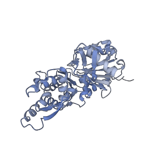 8164_5jlh_C_v1-6
Cryo-EM structure of a human cytoplasmic actomyosin complex at near-atomic resolution
