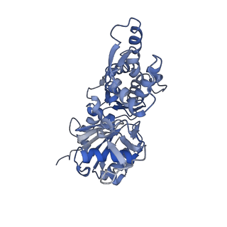 8164_5jlh_D_v1-6
Cryo-EM structure of a human cytoplasmic actomyosin complex at near-atomic resolution