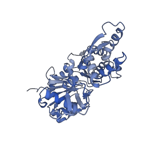 8164_5jlh_E_v1-6
Cryo-EM structure of a human cytoplasmic actomyosin complex at near-atomic resolution
