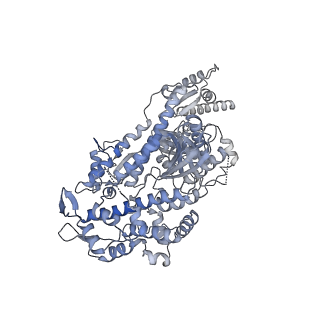 8164_5jlh_F_v1-6
Cryo-EM structure of a human cytoplasmic actomyosin complex at near-atomic resolution