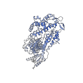 8164_5jlh_G_v1-6
Cryo-EM structure of a human cytoplasmic actomyosin complex at near-atomic resolution