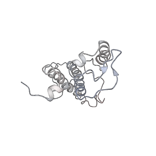 9839_6jlu_13_v1-2
Structure of PSII-FCP supercomplex from a centric diatom Chaetoceros gracilis at 3.02 angstrom resolution