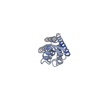 22382_7jmd_A_v1-0
Sheep Connexin-46 at 2.5 angstroms resolution, Lipid Class 1