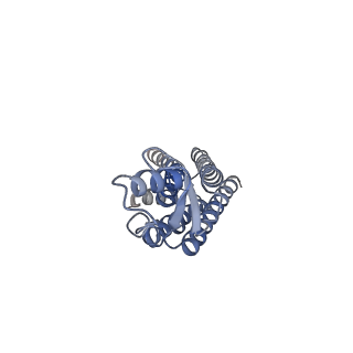 22382_7jmd_F_v1-0
Sheep Connexin-46 at 2.5 angstroms resolution, Lipid Class 1