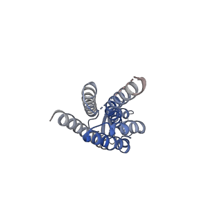 22382_7jmd_I_v1-0
Sheep Connexin-46 at 2.5 angstroms resolution, Lipid Class 1