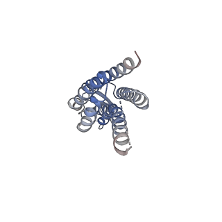 22382_7jmd_K_v1-0
Sheep Connexin-46 at 2.5 angstroms resolution, Lipid Class 1