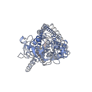 22386_7jm6_A_v1-0
Structure of chicken CLC-7