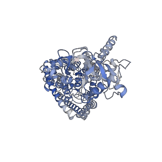 22386_7jm6_B_v1-1
Structure of chicken CLC-7