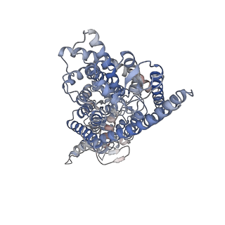 22389_7jm7_A_v1-0
Structure of human CLC-7/OSTM1 complex