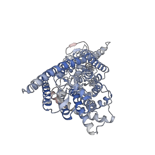 22389_7jm7_C_v1-0
Structure of human CLC-7/OSTM1 complex