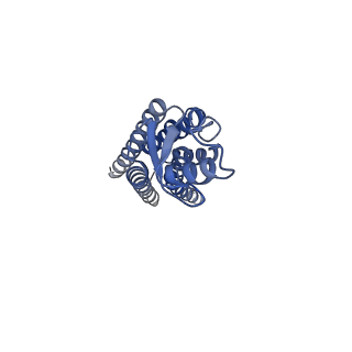 22390_7jm9_E_v1-0
Sheep Connexin-50 at 2.5 angstroms reoslution, Lipid Class 2