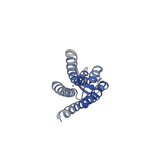 22390_7jm9_G_v1-0
Sheep Connexin-50 at 2.5 angstroms reoslution, Lipid Class 2