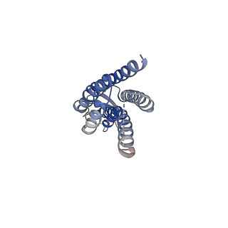 22390_7jm9_J_v1-0
Sheep Connexin-50 at 2.5 angstroms reoslution, Lipid Class 2