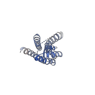 22391_7jmc_K_v1-0
Sheep Connexin-50 at 2.5 angstroms resolution, Lipid Class 3