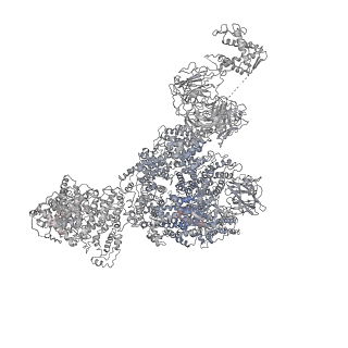 22393_7jmg_B_v1-2
Functional Pathways of Biomolecules Retrieved from Single-particle Snapshots - Frame 22 - State 2 (S2)