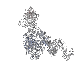 22393_7jmg_E_v1-2
Functional Pathways of Biomolecules Retrieved from Single-particle Snapshots - Frame 22 - State 2 (S2)