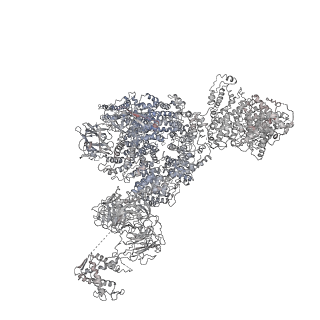 22393_7jmg_G_v1-1
Functional Pathways of Biomolecules Retrieved from Single-particle Snapshots - Frame 22 - State 2 (S2)
