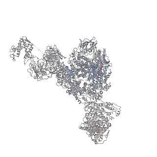 22393_7jmg_I_v1-2
Functional Pathways of Biomolecules Retrieved from Single-particle Snapshots - Frame 22 - State 2 (S2)