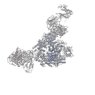 22394_7jmh_B_v1-1
Functional Pathways of Biomolecules Retrieved from Single-particle Snapshots - Frame 35 - State 4 (S4)