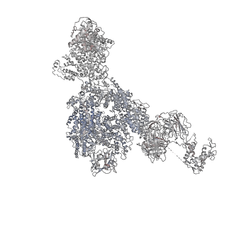 22394_7jmh_E_v1-2
Functional Pathways of Biomolecules Retrieved from Single-particle Snapshots - Frame 35 - State 4 (S4)