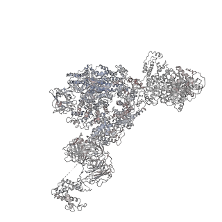 22394_7jmh_G_v1-1
Functional Pathways of Biomolecules Retrieved from Single-particle Snapshots - Frame 35 - State 4 (S4)