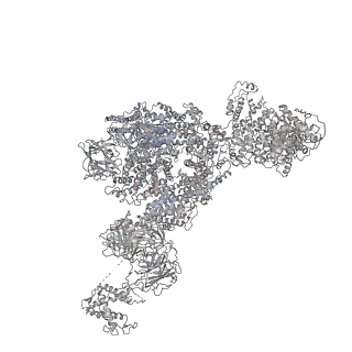 22394_7jmh_G_v1-2
Functional Pathways of Biomolecules Retrieved from Single-particle Snapshots - Frame 35 - State 4 (S4)