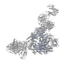 22395_7jmi_B_v1-2
Functional Pathways of Biomolecules Retrieved from Single-particle Snapshots - Frame 29 - State 3 (S3)