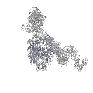 22395_7jmi_E_v1-2
Functional Pathways of Biomolecules Retrieved from Single-particle Snapshots - Frame 29 - State 3 (S3)