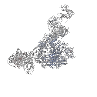 22396_7jmj_B_v1-2
Functional Pathways of Biomolecules Retrieved from Single-particle Snapshots - Frame 37 - State 5 (S5)