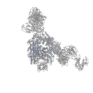 22396_7jmj_E_v1-2
Functional Pathways of Biomolecules Retrieved from Single-particle Snapshots - Frame 37 - State 5 (S5)