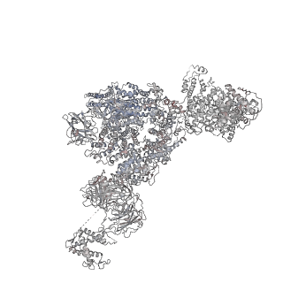 22396_7jmj_G_v1-1
Functional Pathways of Biomolecules Retrieved from Single-particle Snapshots - Frame 37 - State 5 (S5)