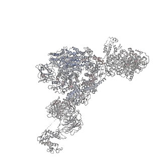 22396_7jmj_G_v1-2
Functional Pathways of Biomolecules Retrieved from Single-particle Snapshots - Frame 37 - State 5 (S5)