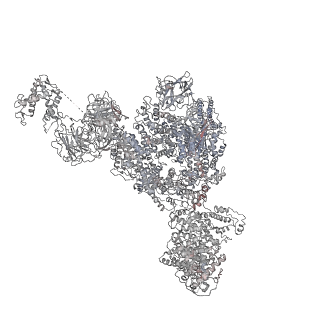 22396_7jmj_I_v1-1
Functional Pathways of Biomolecules Retrieved from Single-particle Snapshots - Frame 37 - State 5 (S5)