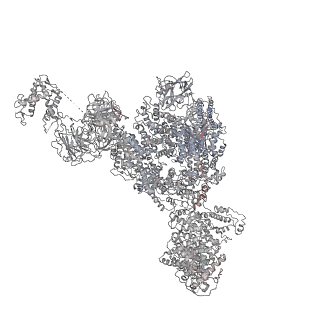 22396_7jmj_I_v1-2
Functional Pathways of Biomolecules Retrieved from Single-particle Snapshots - Frame 37 - State 5 (S5)