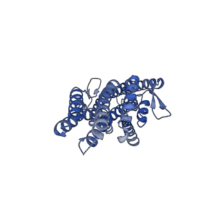 36410_8jm9_A_v1-2
The cryo-EM structure of insect gustatory receptor Gr43a from Drosophila melanogaster