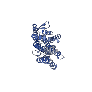 36410_8jm9_B_v1-2
The cryo-EM structure of insect gustatory receptor Gr43a from Drosophila melanogaster