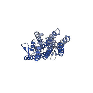 36410_8jm9_C_v1-2
The cryo-EM structure of insect gustatory receptor Gr43a from Drosophila melanogaster