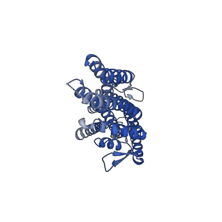 36410_8jm9_D_v1-2
The cryo-EM structure of insect gustatory receptor Gr43a from Drosophila melanogaster