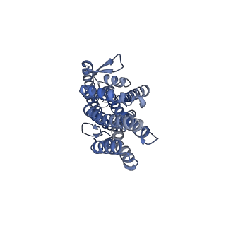 36411_8jma_A_v1-2
The cryo-EM structure of insect gustatory receptor Gr43a from Drosophila melanogaster in complex with fructose