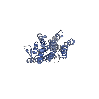 36411_8jma_B_v1-2
The cryo-EM structure of insect gustatory receptor Gr43a from Drosophila melanogaster in complex with fructose