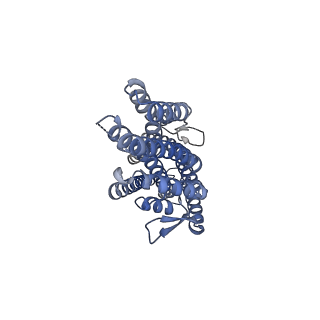 36411_8jma_C_v1-2
The cryo-EM structure of insect gustatory receptor Gr43a from Drosophila melanogaster in complex with fructose