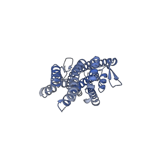 36411_8jma_D_v1-2
The cryo-EM structure of insect gustatory receptor Gr43a from Drosophila melanogaster in complex with fructose