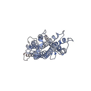 36417_8jme_A_v1-2
The cryo-EM structure of insect gustatory receptor Gr64a from Drosophila melanogaster