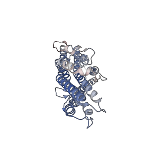 36417_8jme_B_v1-2
The cryo-EM structure of insect gustatory receptor Gr64a from Drosophila melanogaster