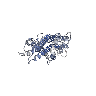 36417_8jme_C_v1-2
The cryo-EM structure of insect gustatory receptor Gr64a from Drosophila melanogaster