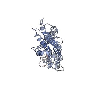 36417_8jme_D_v1-2
The cryo-EM structure of insect gustatory receptor Gr64a from Drosophila melanogaster