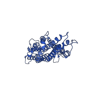 36421_8jmh_A_v1-2
The cryo-EM structure of insect gustatory receptor Gr64a from Drosophila melanogaster in complex with sucrose