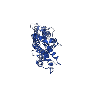 36421_8jmh_B_v1-2
The cryo-EM structure of insect gustatory receptor Gr64a from Drosophila melanogaster in complex with sucrose