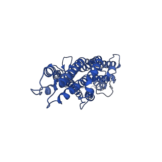 36421_8jmh_C_v1-2
The cryo-EM structure of insect gustatory receptor Gr64a from Drosophila melanogaster in complex with sucrose