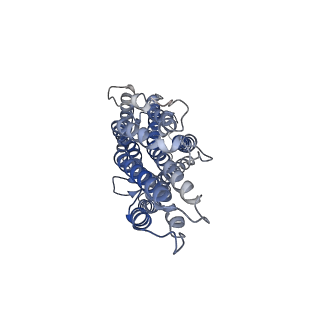 36422_8jmi_B_v1-2
The cryo-EM structure of insect gustatory receptor Gr64a from Drosophila melanogaster in complex with maltose